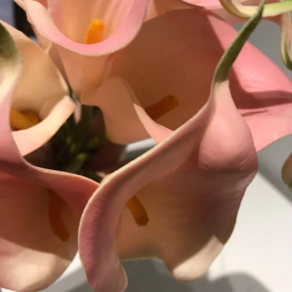 Real Touch Pink Cala Lilies 10 Real Touch Cala Lilies FINAL SALE